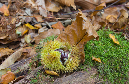 智能代码生成的ddos在线攻击